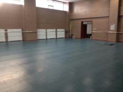 新疆胡杨艺陪学校成功案例